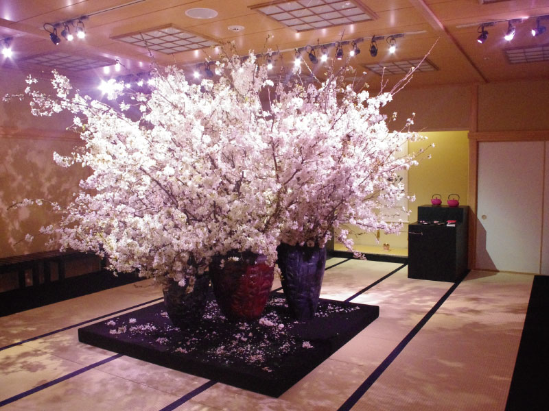 展示会-2