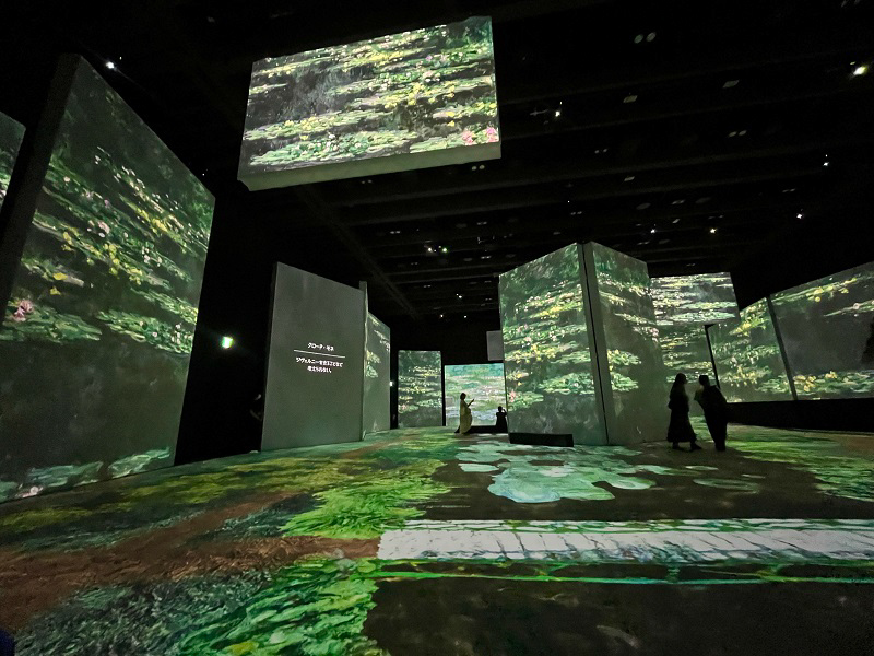 Exhibition 5 Image